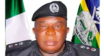 DIG Joseph Egbunike Investigating Abba Kyari Slumps, Dies