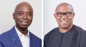 Peter Obi Cannot Become President, He Does Not Have The Structure – Ned Nwoko