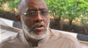PDP Crisis: Wike, Makinde, Bode George On Misplaced Mission – Metuh