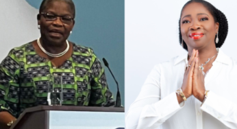 I’m Not A Public Official That Cows To Bullying – Dabiri-Erewa Replies Oby Ezekwesili