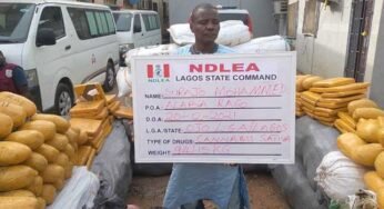 NDLEA Intercepts 2.4m Tablets Of Tramadol At Lagos Airport