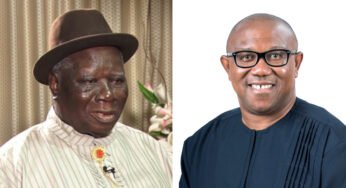 BREAKING: Edwin Clark Endorses Peter Obi For President