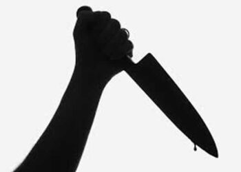 Woman Stabs Husband To Death