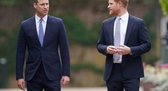 Prince Harry Reveals Purpose Of His Birth In Memoir “Spare”
