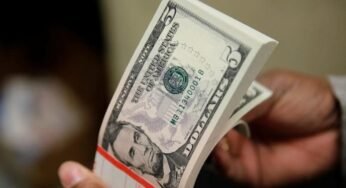 FX Dealers Increase Dollar Rate In Official Channel, USD Trades At N754.5 In Black Market