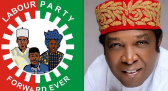 Assassinated Labour Party Senatorial Candidate In Enugu Replaced With Younger Brother