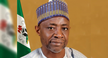 Buhari Sacks NASENI Boss, Prof Haruna