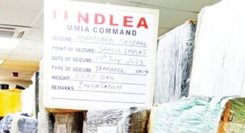 Tramadol Worth N3.7bn Seized At Lagos Airport – NDLEA