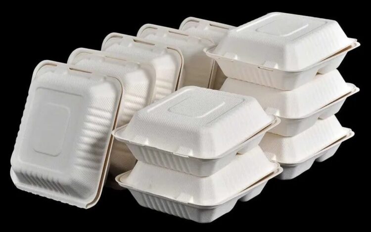 Styrofoam For Food Packaging