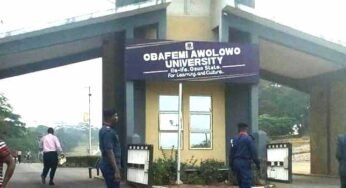 JUST IN: Lion Attacks, Kills OAU Zookeeper During Feeding