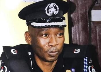 Deputy Police Commissioner