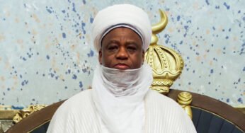 Sultan Has No Power To Appoint District Heads – Sokoto Govt