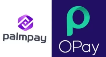 Opay, PalmPay, Others Ban Customers From Trading Cryptocurrencies