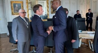 Aigboje AIG-Imoukhuede Appointed President Of France Nigeria Business Council