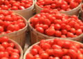 Alternatives To Fresh Tomatoes