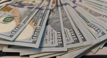 Hundreds Of Dollars Laundered Out Of Nigeria Every Hour – Interpol