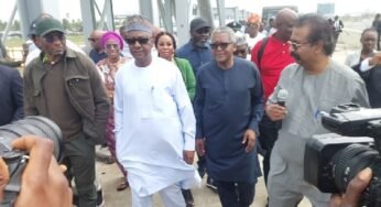 Probe Quality Of Petrol, Diesel At Filling Stations – Dangote To Reps