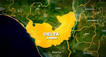 Anti-Protesters Attack PUNCH, Guardian, Sahara Correspondents At #EndBadGovernanceInNigeria Protest