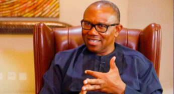 Peter Obi Faults Tinubu, Shettima Trips