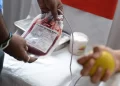 Blood Collection Centres