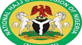 Usman Receives Senate Nod To Lead Hajj Commission