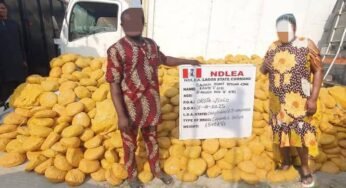 NDLEA Arrests Lagos Socialite, Nollywood Filmmaker For Alleged Illicit Shipments