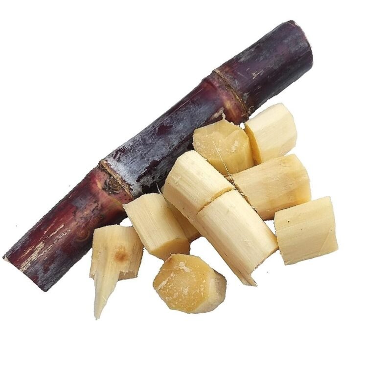 Health Benefits Of Eating Sugarcane