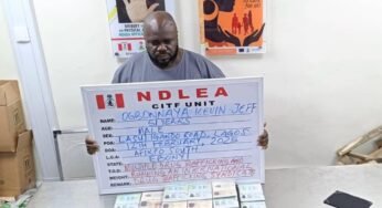 NDLEA Arrests Suspected Drug Baron After 17 Years In Hiding
