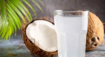 Nature’s Elixir: Unlocking The Vibrant Health Secrets Of Coconut Water