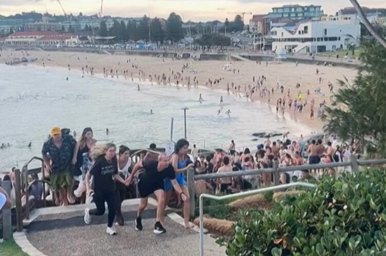 Bondi Beach