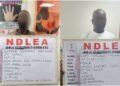 NDLEA Intercepts Cocaine