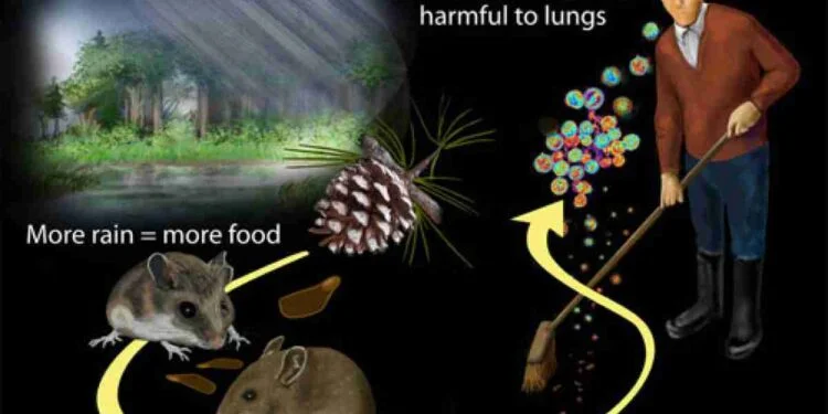 Hantavirus