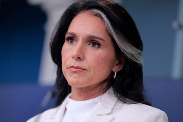 Tulsi Gabbard Biography