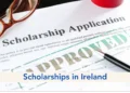 Ireland Fellows Programme