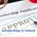 Ireland Fellows Programme