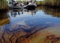 Niger Delta