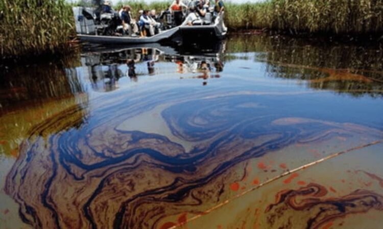 Niger Delta