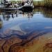 Niger Delta