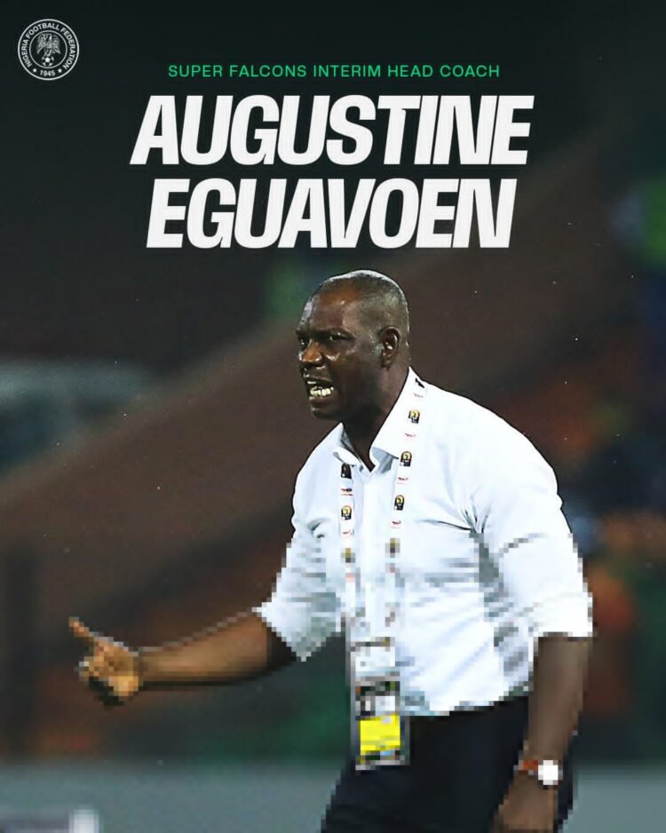Interim Super Falcons Coach