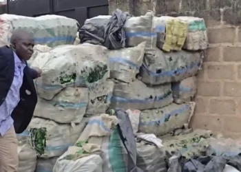 Lagos Building Storing Bottles