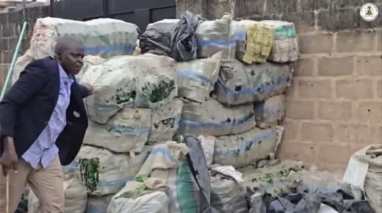 Lagos Building Storing Bottles