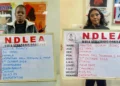 NDLEA